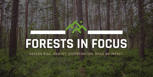 forests in focus graphic